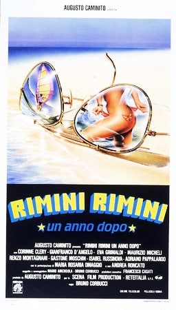 Rimini rimini - un anno dopo