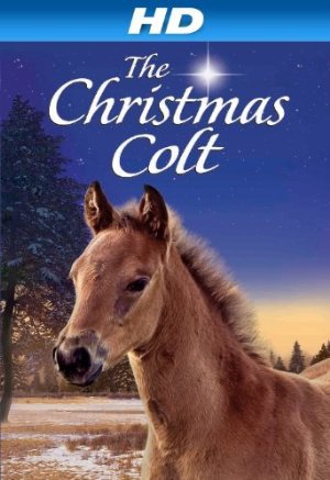 The christmas colt