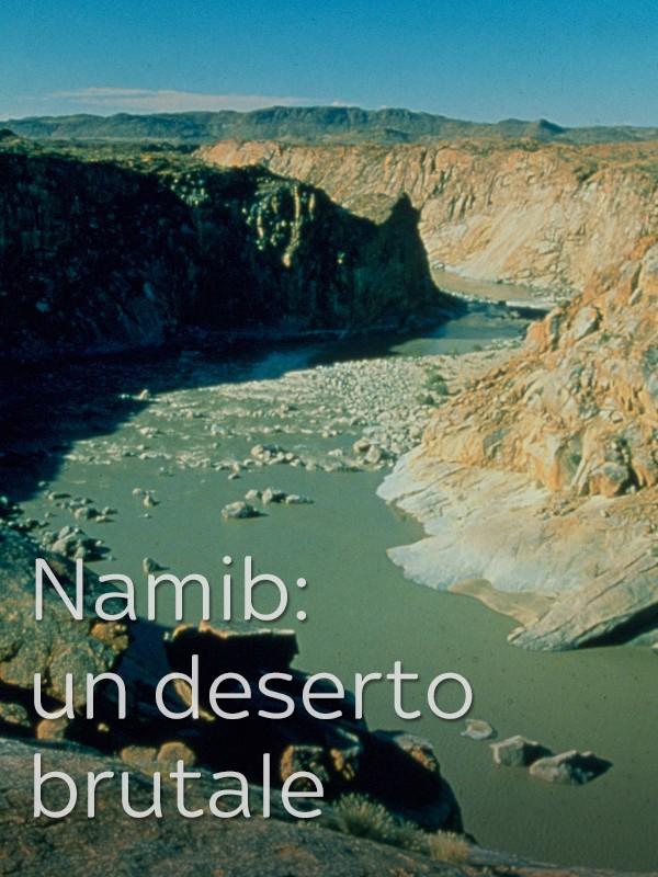 Namib: un deserto brutale