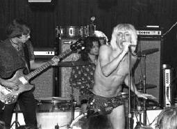 Gimme danger - story of the stooges