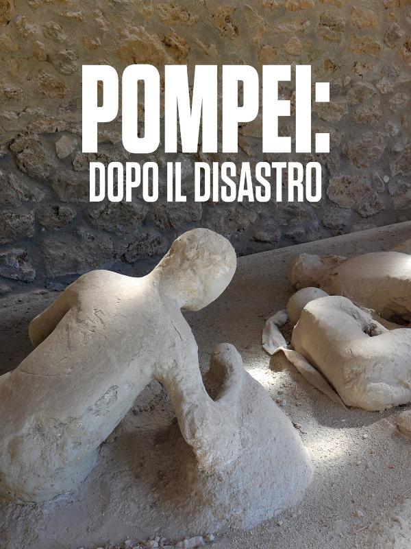 Pompei: dopo il disastro - 