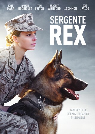 Sergente rex