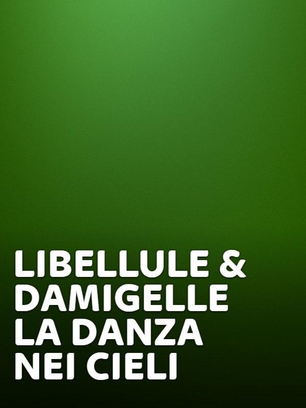 Libellule & damigelle - la danza nei cieli