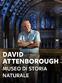 David Attenborough - Museo di storia naturale