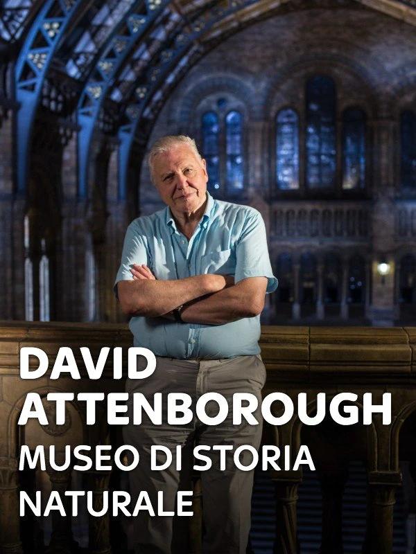 David attenborough - museo di storia naturale