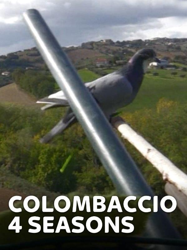 Colombaccio 4 seasons