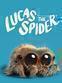 Lucas the spider