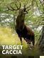 Target caccia