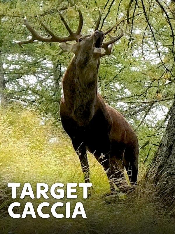 Target caccia