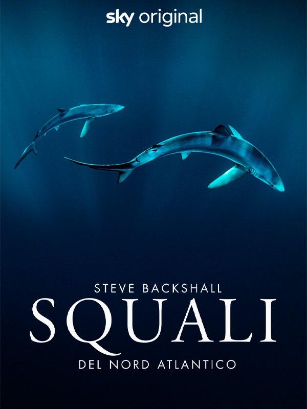 Steve backshall - squali del nord atlantico
