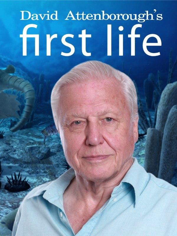 David attenborough - l'origine della...