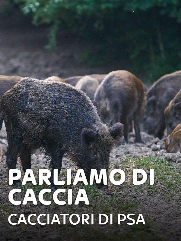 Parliamo di caccia: cacciatori di psa