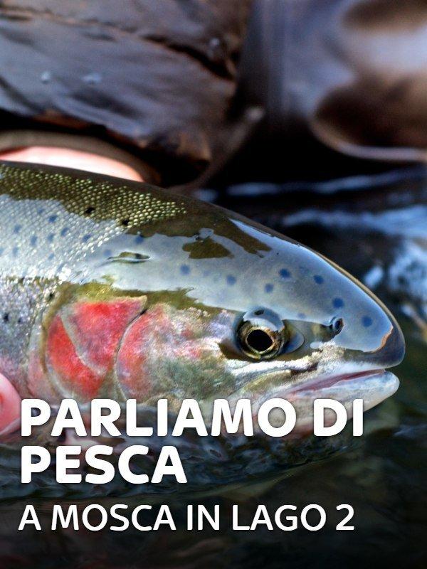 Parliamo di pesca: a mosca in lago 2