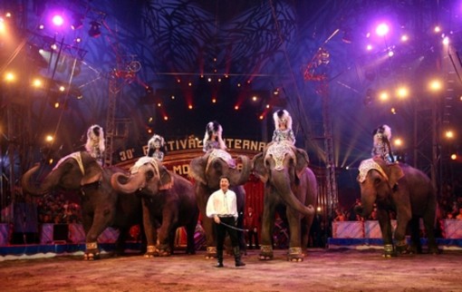 38 festival del circo montecarlo