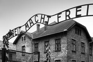Inferno sulla terra Auschwitz, Birkenau e Dachau