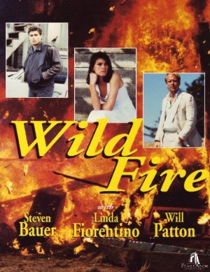 Wildfire - all'improvviso un maledetto amore