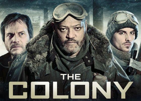 The colony