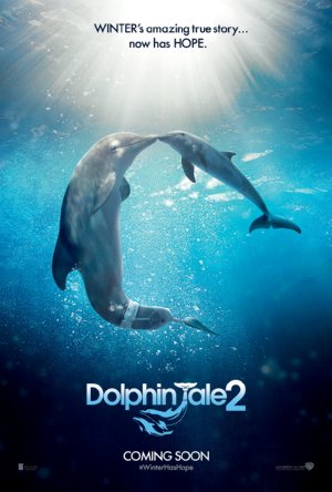 L'incredibile storia di winter il delfino 2