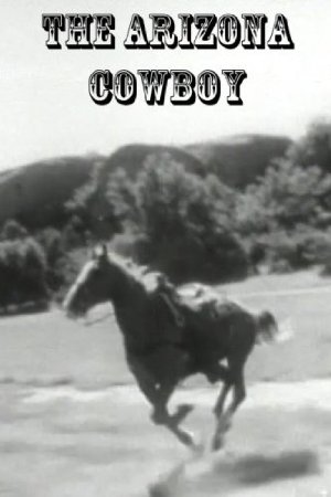 The arizona cowboy