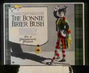 The bonnie brier bush