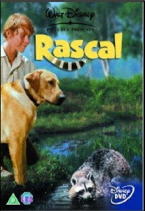 Rascal, l'orsetto lavatore