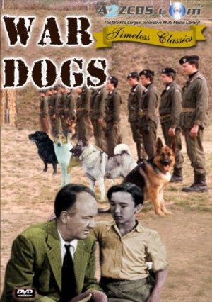 War dogs