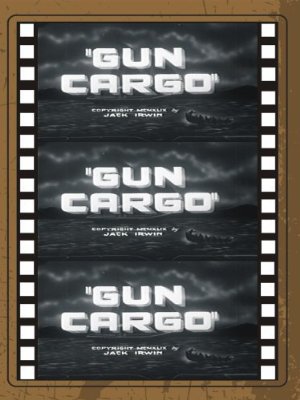 Gun cargo