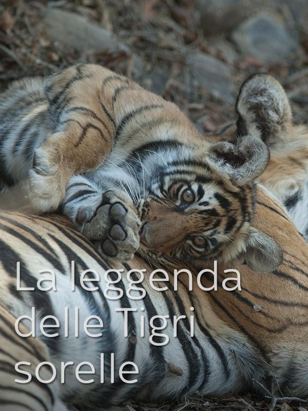 La leggenda delle tigri sorelle