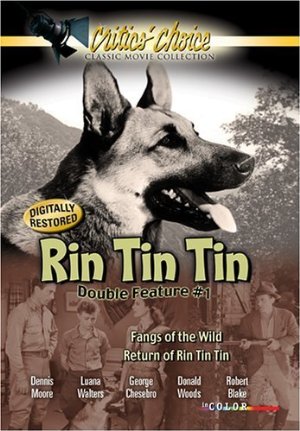 The return of rin tin tin