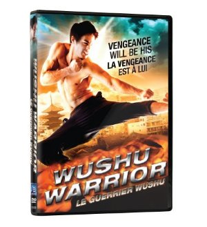 Wushu warrior