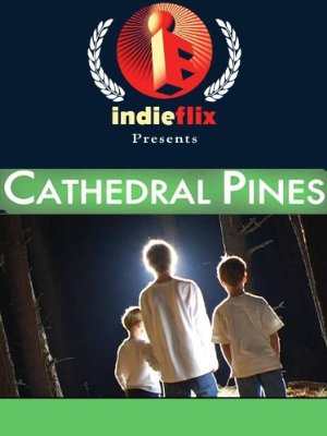 Cathedral pines