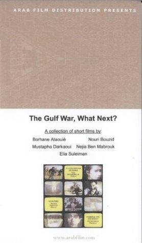 La guerra del golfo... e dopo