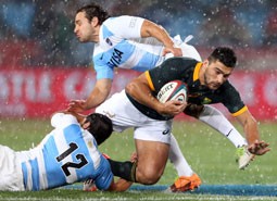 Rugby: argentina - sudafrica  (diretta)