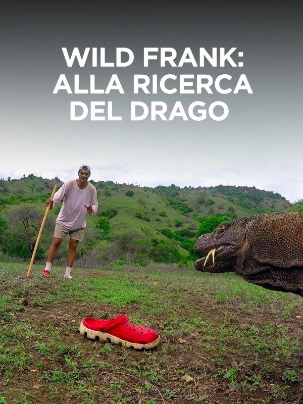 Wild frank: alla ricerca del drago