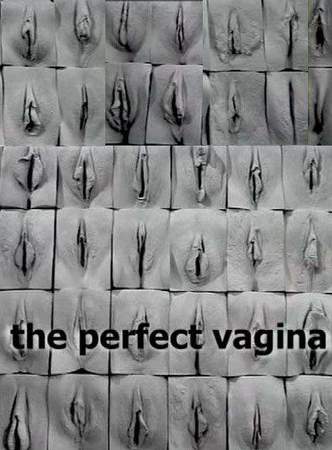 La vagina perfetta