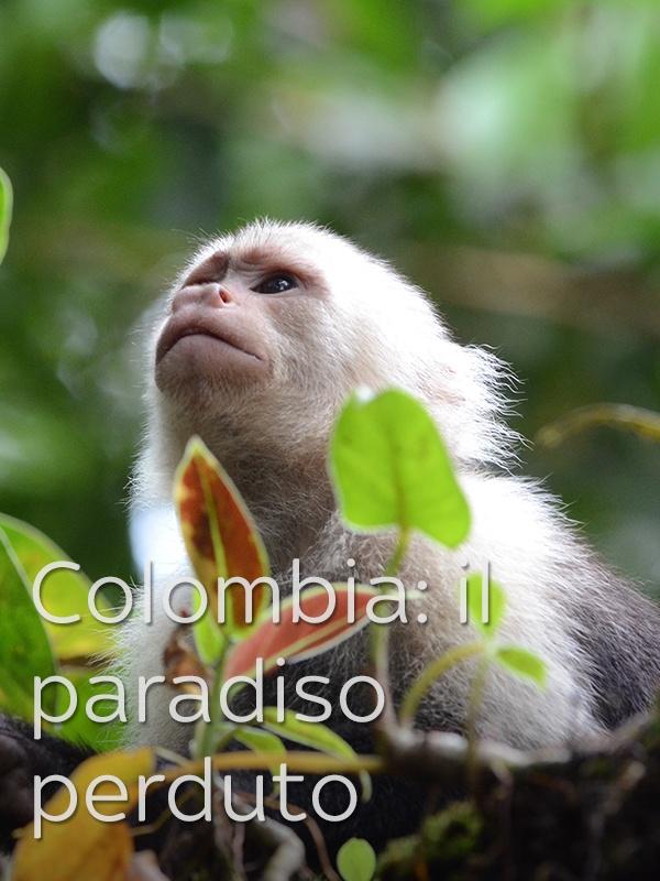 Colombia: il paradiso perduto