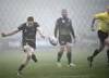Connacht rugby - zebre  (diretta)
