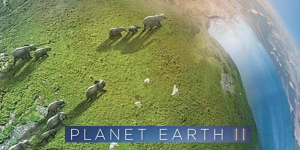 Planet earth ii - le meraviglie della natura