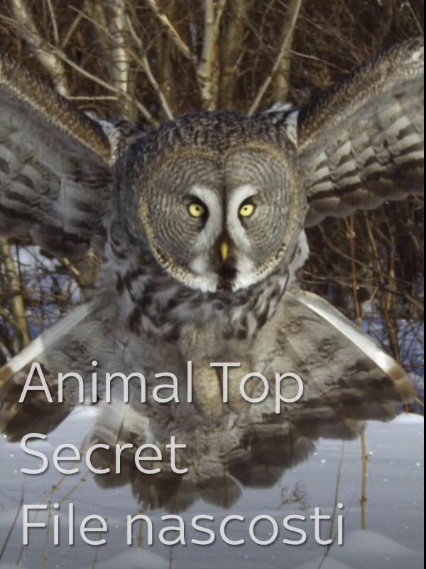 Animal top secret - file nascosti