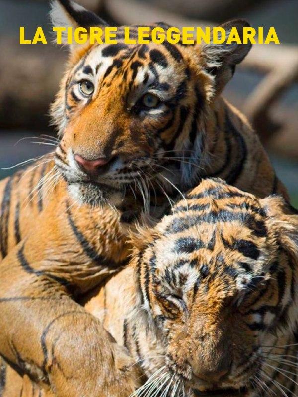 La tigre leggendaria