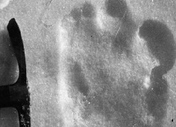 Finding bigfoot: cacciatori di mostri - 