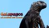 Galapagos: ai confini del mondo
