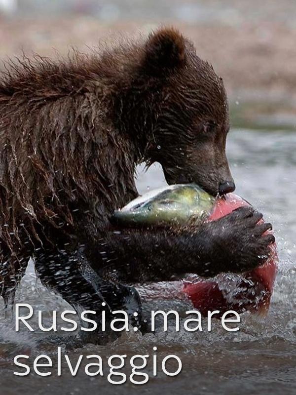 Russia: mare selvaggio
