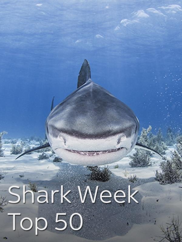 Shark week top 50