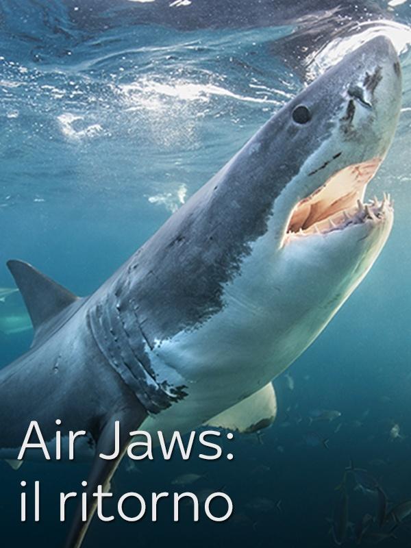 Air jaws: il ritorno
