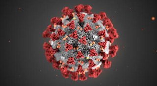 Chi l'ha visto? Coronavirus, pedofili 2020x00