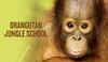 Orangutan jungle school