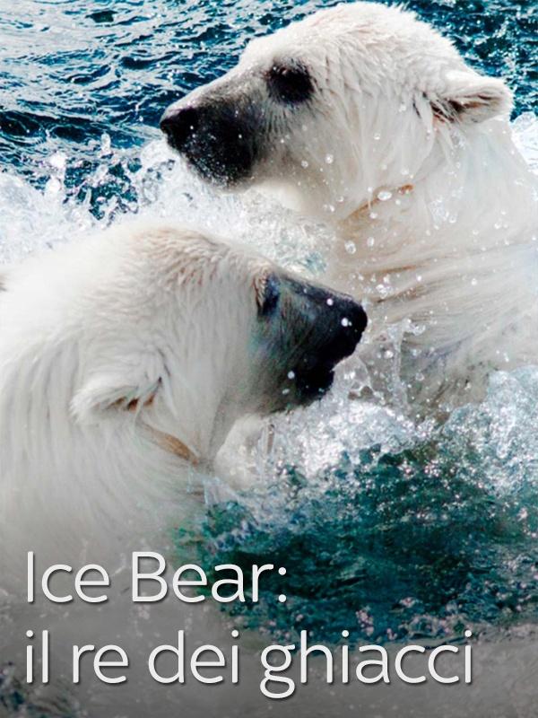 Ice bear: il re dei ghiacci - 