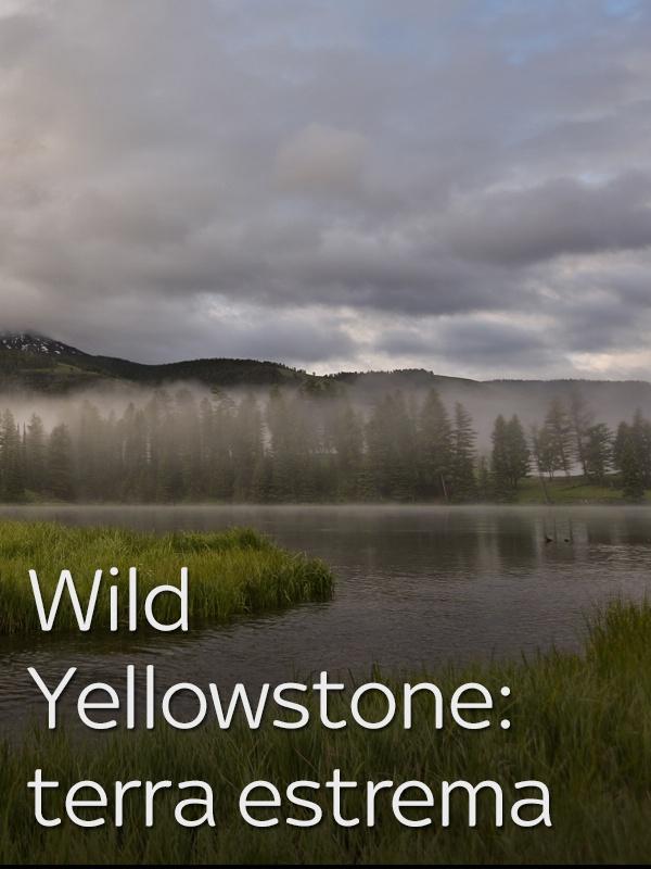 Wild yellowstone: terra estrema