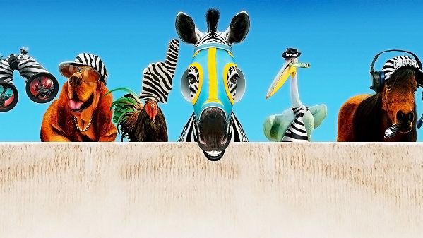 Film striscia, una zebra alla riscossa